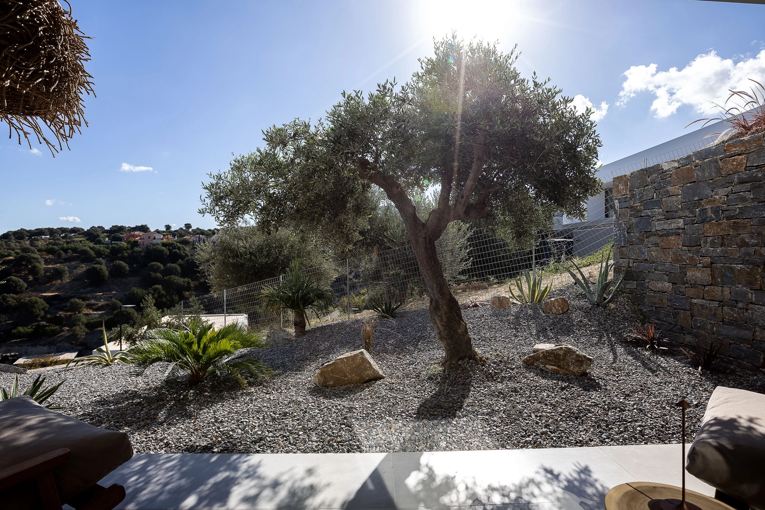 Villa ANDRIOTIS – Garten mit Olivenbaum