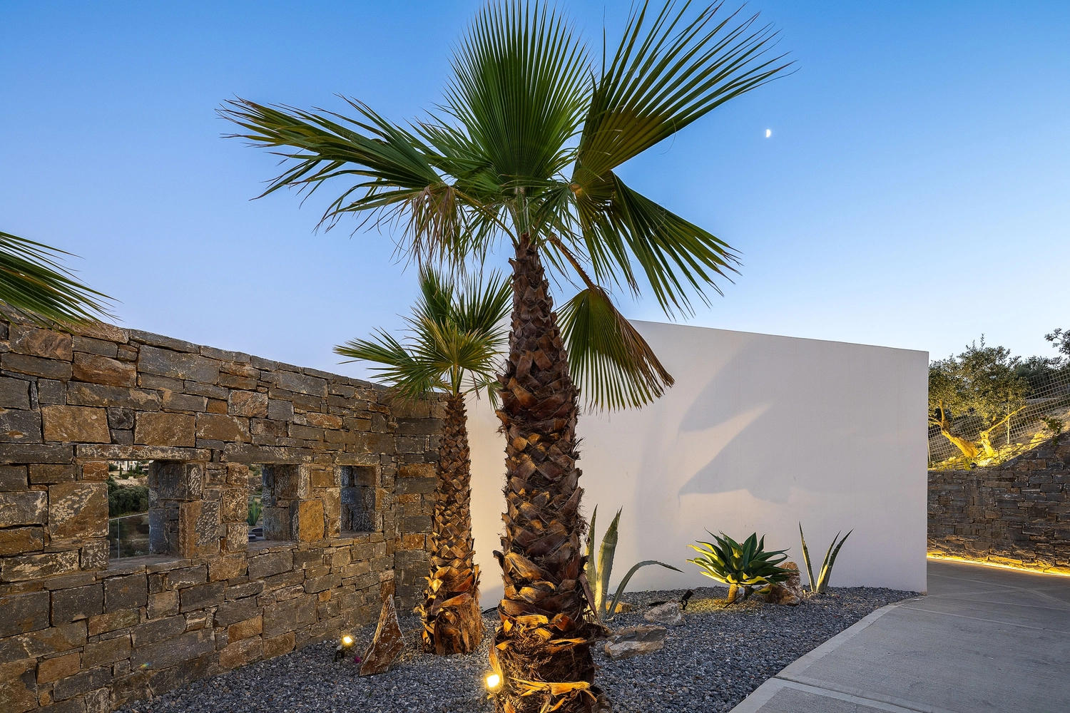 Villa ANDRIOTIS – Garten mit Palmen am Abend